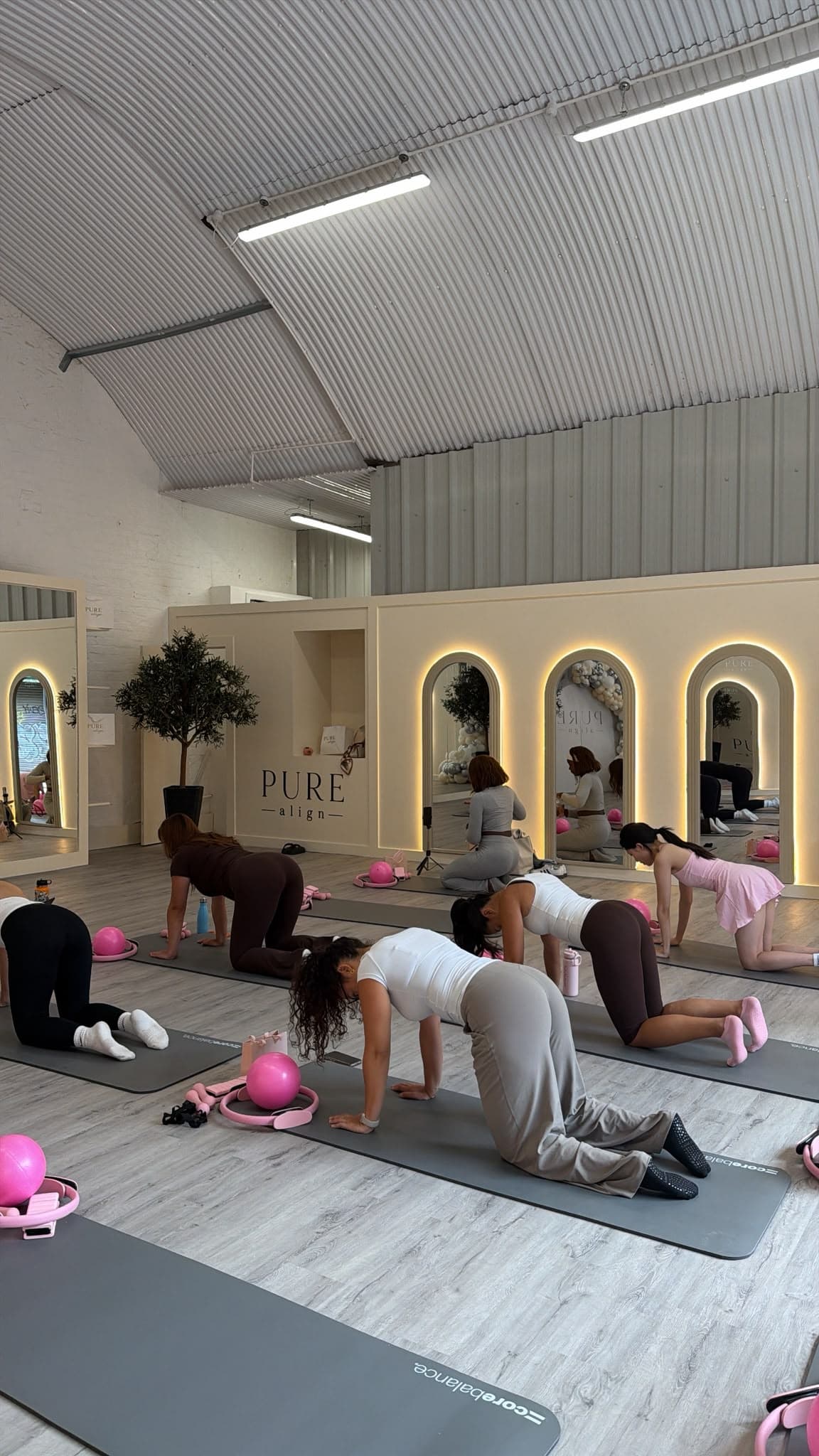 A full mat Pilates class flowing through all-fours work at Pure Align Studios